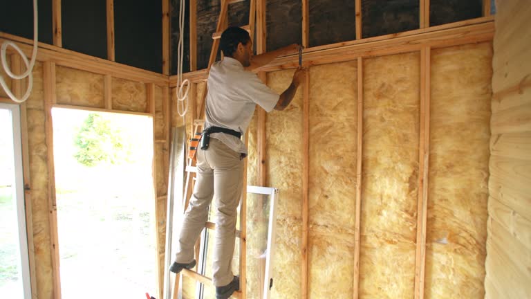 Best Eco-Friendly or Green Insulation Solutions  in Sedalia, MO