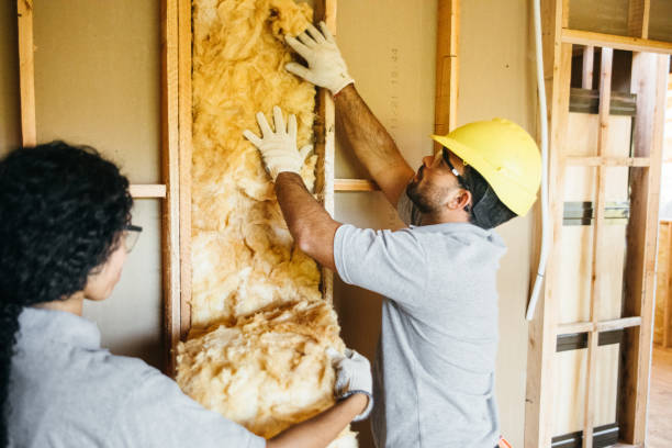 Best Insulation for New Construction  in Sedalia, MO